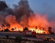 مجلس التعاون الخليجي يعرب عن مواساته للجزائر إثر حوادث حرائق الغابات