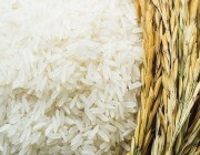 هيئة الغذاء: منتجات الأرز في المملكة سليمة ومطابقة للوائح الفنية