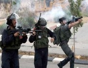 وسائل إعلام إسرائيلية: 10 مصابين على الأقل في حادث دهس في “تل أبيب”