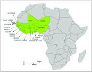إكواس تعلن عن قمة لمواجهة انقلاب النيجر