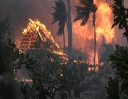 ارتفاع حصيلة قتلى حرائق الغابات في هاواي إلى 80 شخصا