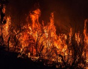 إجلاء 12 قرية في اليونان بسبب حرائق الغابات.. والسلطات تدعو إلى توخي الحذر