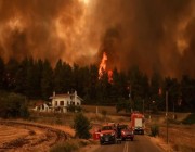 استمرار حرائق الغابات في اليونان