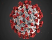 اكتشاف طريقة للقضاء على فيروسات "كورونا" للأبد