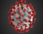 اكتشاف طريقة للقضاء على فيروسات “كورونا” للأبد
