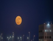الجمعية الفلكية: قمر صفر يظهر في طور التربيع الأول في سماء العالم العربي