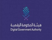 الحكومة الرقمية: 80% ارتفاعًا في نتائج مؤشر نضج التجربة الرقمية لـ2023