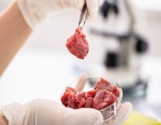 باحث في تكنولوجيا الغذاء: هناك اتجاه عالمي لتصنيع اللحوم في المختبرات