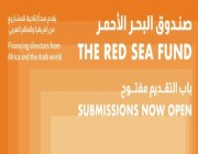 صندوق البحر الأحمر يدعم 33 مشروعاً سينمائياً محلياً وعربياً وأفريقياً