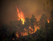 كندا: إخلاء 30 ألف شخص بسبب حرائق الغابات في «بريتيش كولومبيا»