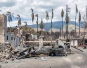 هاواي الأمريكية تواصل البحث عن جثامين ضحايا الحرائق في جزيرة ماوي