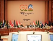 الـ"G20".. الاقتصاد والنمو والصحة والمرأة "أولويات"