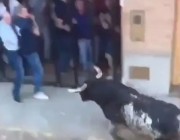 فيديو | ثور هائج يقتل رجلًا بمهرجان في إسبانيا
