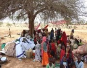 قلق أممي من تدهور الوضع الإنساني في مالي
