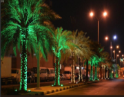 محافظة بدر تنهى استعداداتها للاحتفاء باليوم الوطني الـ93
