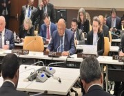 وزير الخارجية المصري يدعو المانحين الدوليين بمواصلة دعم الاقتصاد الفلسطيني