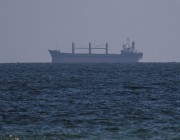 وصول سفينتين إلى ميناء أوكراني لتحميل حبوب