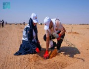 150 متطوعًا ومتطوعة يزرعون 1000 شتلة في محمية الملك عبدالعزيز الملكية
