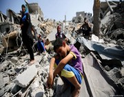 950 شهيدًا فلسطينيًا جراء عدوان الاحتلال الإسرائيلي