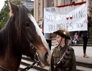 أستراليا تعاود "إعدام" الخيول البرية
