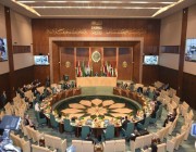 الجامعة العربية تسلم ردها المكتوب لمحكمة العدل الدولية بشأن إحتلال إسرائيل للأراضي الفلسطينية