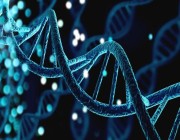 “الجينات” تحدد مدى الاستفادة من “الأحماض”