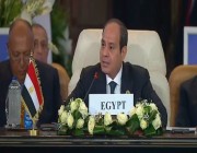الرئيس المصري: تصفية القضية الفلسطينية دون حل عادل لن تحدث وخاصة على حساب مصر