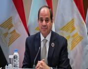 الرئيس المصري يتلقى اتصالاً هاتفياً من نظيره التركي