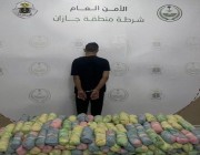 القبض على شخص في محافظة فيفا لترويجه 82 كيلوجرامًا من نبات القات المخدر