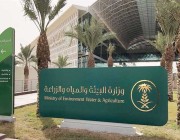 “بيئة القصيم” تستزرع أربعة آلاف شتلة في قصر الملك عبدالعزيز الأثري بمركز قبة