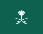 سفارة المملكة باليابان تؤكد سلامة الرعايا السعوديين إثر زلزال إيزو
