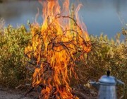 ضبط مخالفاً لنظام البيئة لإشعاله النار في أراضي الغطاء النباتي