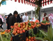 ملتقى لاقتصاديات الطماطم في تنومة