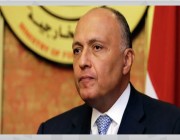 وزير الخارجية المصري يتلقى اتصالًا هاتفيًا من نظيرته اليابانية