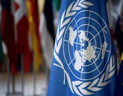الأمم المتحدة تعلن منع إسرائيل لدخول المقررة الخاصة المستقلة بحالة حقوق الإنسان للأراضي المحتلة