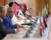 باحث في العلاقات الدولية: قمم الرياض تبني تيارا عربيا إسلاميا يوازي حجم التيار الغربي الداعم لإسرائيل