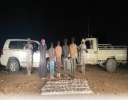 حرس الحدود بنجران يحبط محاولة تهريب (65) كيلوجرامًا من مادة الحشيش المخدر