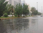 خبير في الطقس والمناخ: أمطار متفاوتة على مناطق مكة المكرمة والباحة وعسير وأجزاء متفرقة من الرياض والشرقية