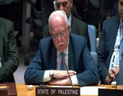 وزير الخارجية الفلسطيني: الهدنة في غزة يجب أن تتحول إلى وقف دائم لإطلاق النار