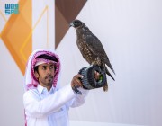 4 أشواط تنافسية في رابع أيام مسابقة الملواح بمهرجان الملك عبدالعزيز للصقور