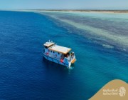 "البحر الأحمر" تسخر التقنية لاكتشاف "البيئة البحرية"