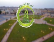 “أمانة الجوف” تُنهي زراعة أكثر من 22 ألف شجرة في نطاق 6 بلديات خلال ديسمبر الماضي