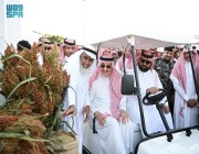 أمير جازان يطلق فعاليات مهرجان “عذق4” للذرة الرفيعة والنباتات العطرية بضمد