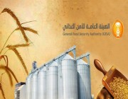 الهيئة العامة للأمن الغذائي ترسي الدفعة الرابعة من القمح المستورد هذا العام