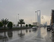 خبير في الطقس والمناخ: متوقع هطول أمطار من خفيفة لمتوسطة على أجزاء من شمال الرياض والشرقية