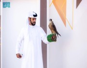 صقارون دوليون: مهرجان الملك عبدالعزيز للصقور ملتقى اجتماعي ثقافي واقتصادي
