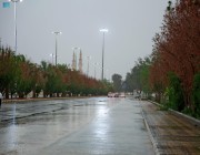 أمطار ورياحٌ نشطة على محافظة الليث
