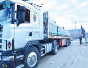 إدخال 87 شاحنة مساعدات إنسانية لغزة عبر ميناء رفح البري
