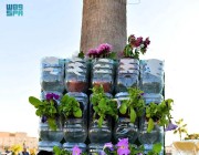 الأركان والفعاليات في مهرجان الزهور بسيهات تجتذب الأهالي والمقيمين