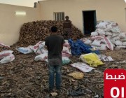 القوات الخاصة للأمن البيئي تضبط مخالفًا لنظام البيئة لتخزينه حطبًا محليًا بمنطقة الرياض